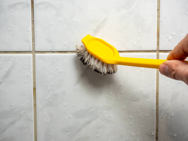 Best Mold Inspection  in Sudley, VA