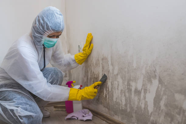 Best Mold Cleaning Services  in Sudley, VA