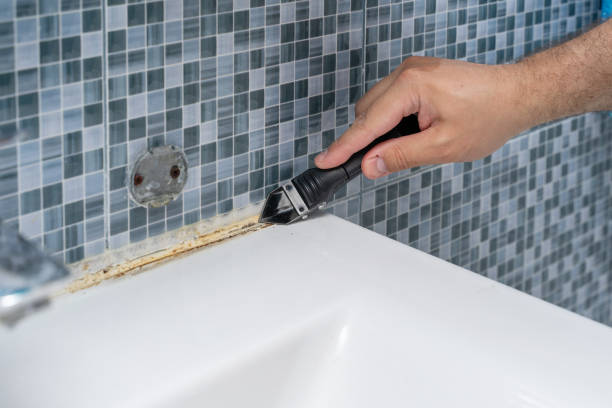 Best Fast Mold Removal  in Sudley, VA