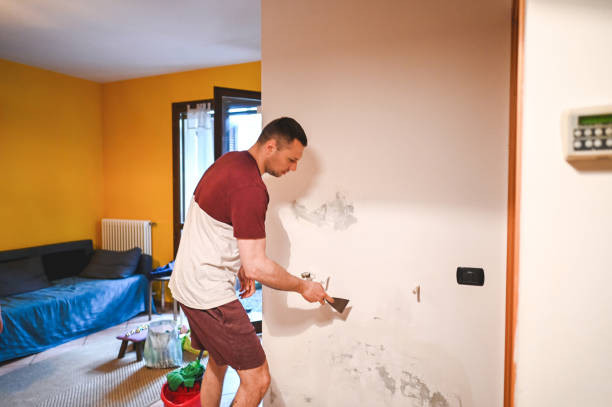 Mold Removal and Inspection in Sudley, VA
